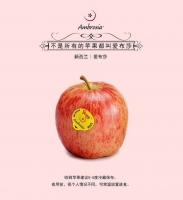 【水果】新西兰爱布沙苹果 25个装（单果净重约150g-180g）内蒙古、新疆、西藏、青海不接单