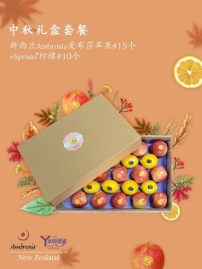 爱布沙苹果+柠檬水果礼盒 （爱布沙苹果15个+柠檬10个）内蒙古、新疆、西藏、青海不接单