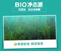 【国内现货只接受人民币包邮】BioIsland 婴幼儿海藻油DHA 60粒装