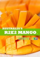 【新品上架】包邮 R2E2澳洲芒果 6个装 单果净重约500g+ 总重6斤