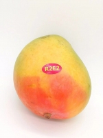 【新品上架】包邮 R2E2澳洲芒果 6个装 单果净重约500g+ 总重6斤