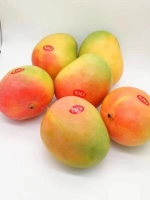 【新品上架】包邮 R2E2澳洲芒果 4个装 单果净重约500g+ 总重4斤