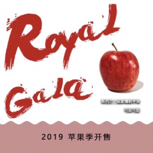【生鲜仓 苹果】 新西兰Royal Gala苹果 25颗装（单果约170-185g）