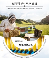 Comvita康维他 天然麦卢卡蜂蜜UMF5+ 500g（全新包装）【保质期2026/09】