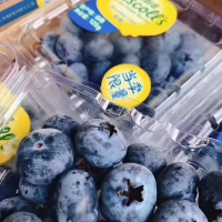 怡颗莓Driscolls 蓝莓  12盒礼盒装 125g/盒 顺丰包邮（偏远+15元）偏远地区：内蒙古、海南、青海、云南、广西、黑龙江、西藏、新疆。