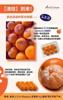 澳洲阳光柑橘 12颗每箱 单果210-240G左右 偏远加运费
